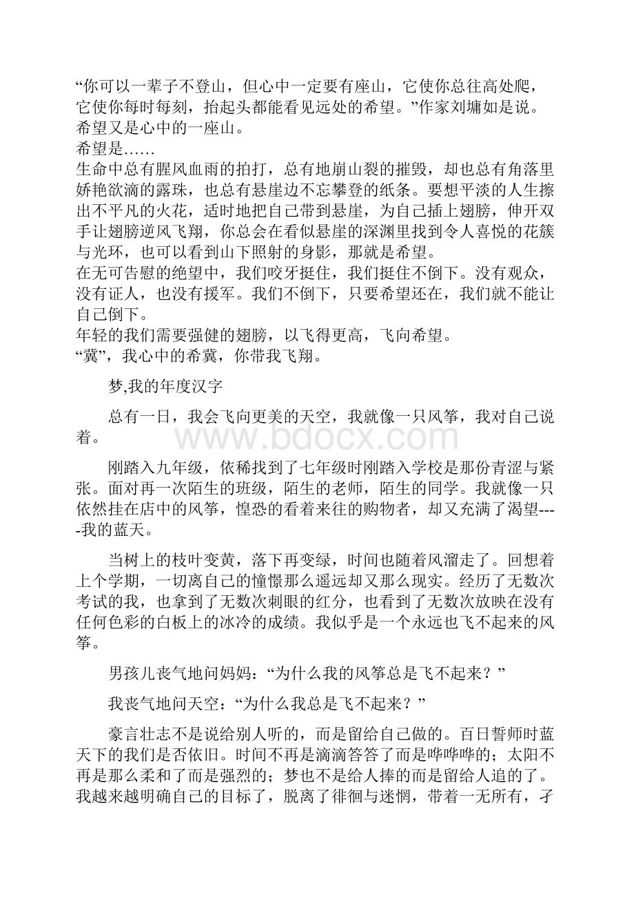 我的年度汉字.docx_第2页