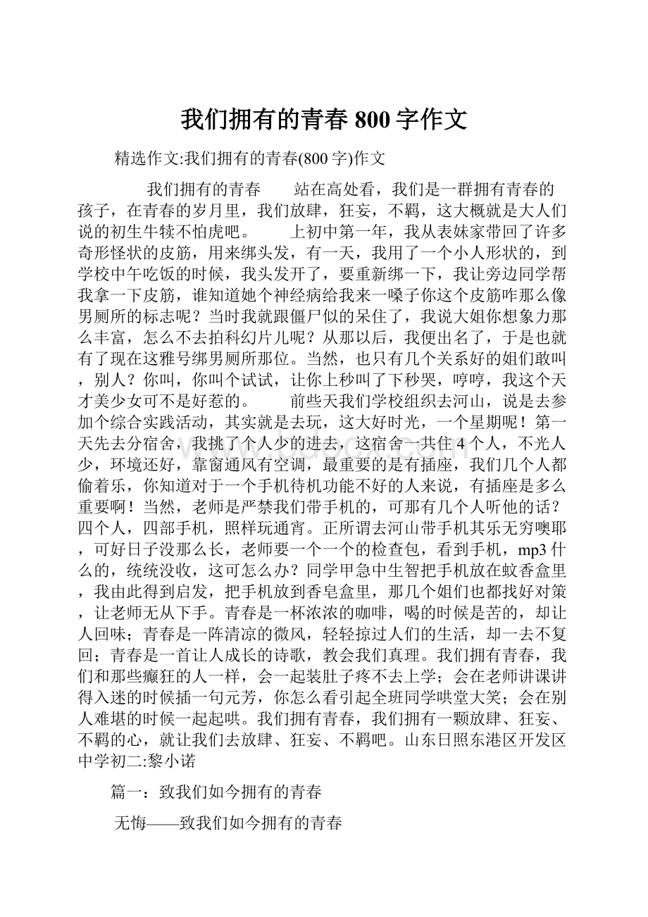 我们拥有的青春800字作文.docx_第1页