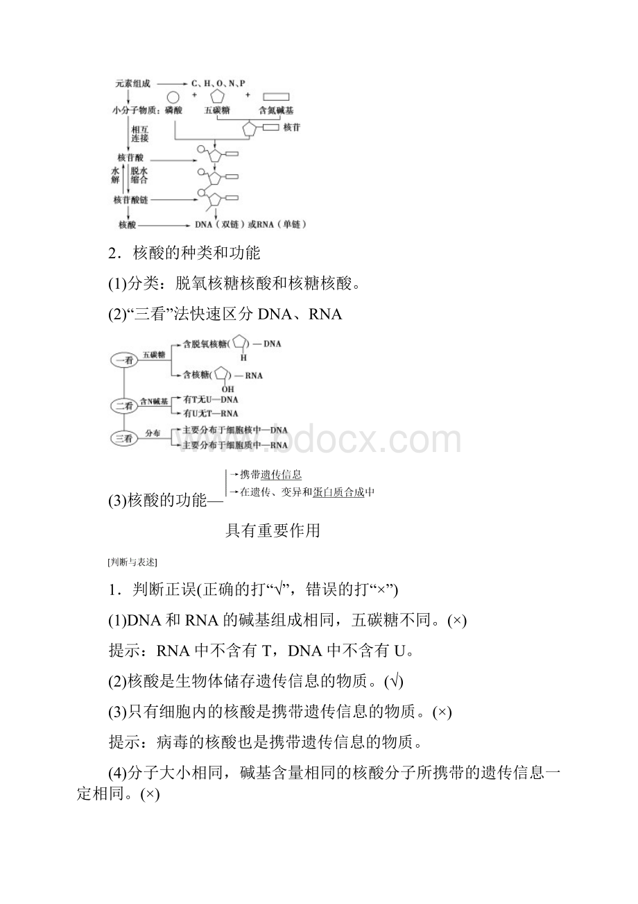 版高考生物复习第1单元第4讲核酸糖类和脂质教学案新人教版.docx_第2页