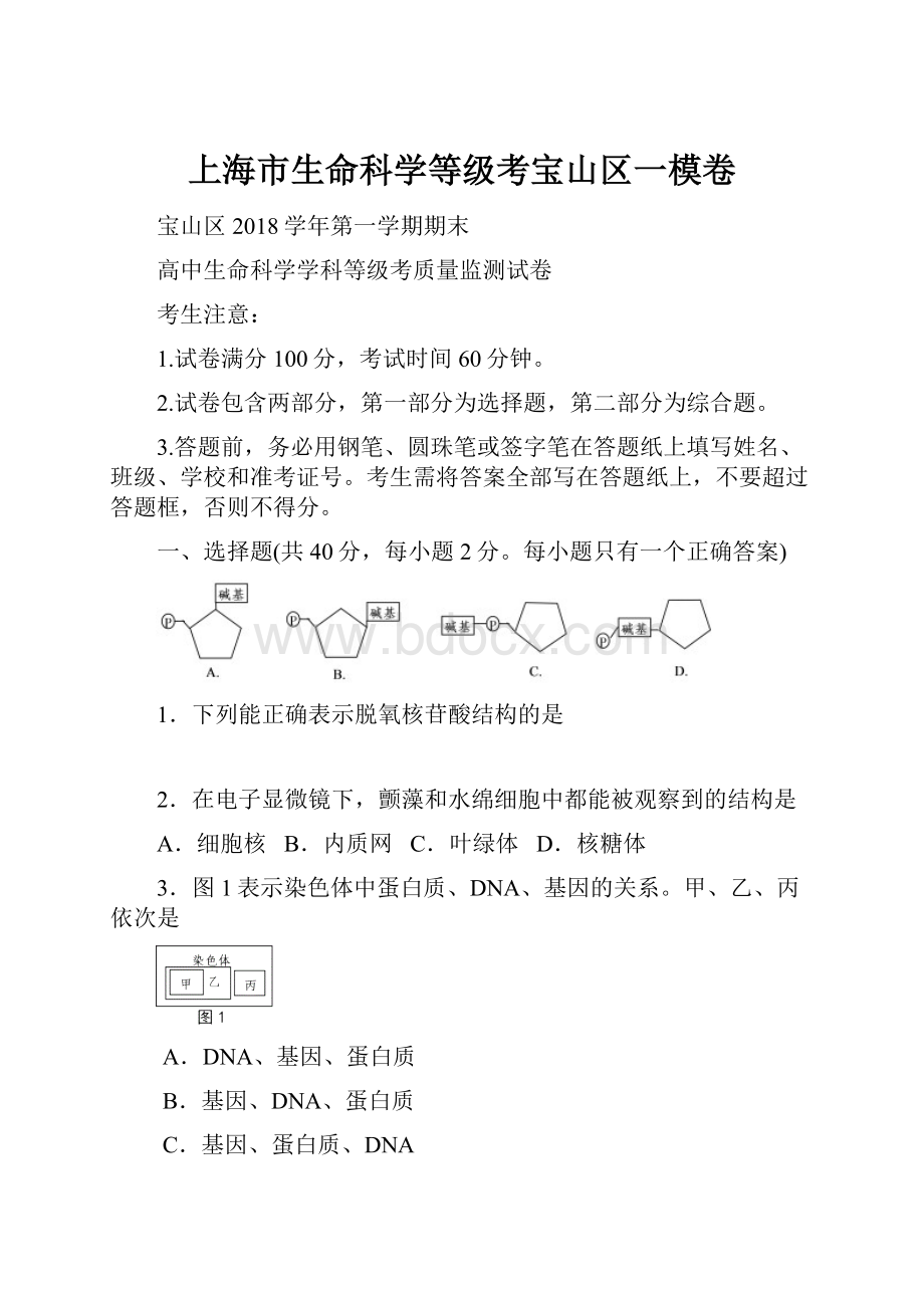 上海市生命科学等级考宝山区一模卷.docx