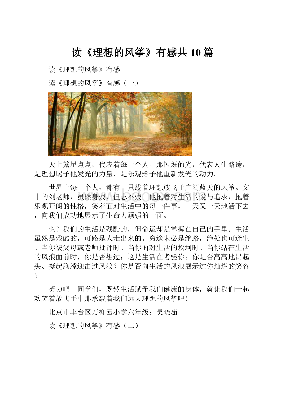 读《理想的风筝》有感共10篇.docx