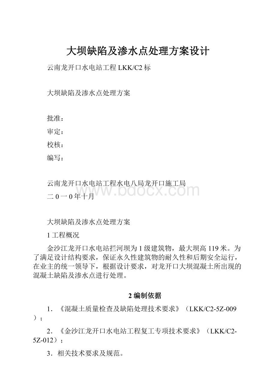 大坝缺陷及渗水点处理方案设计.docx_第1页