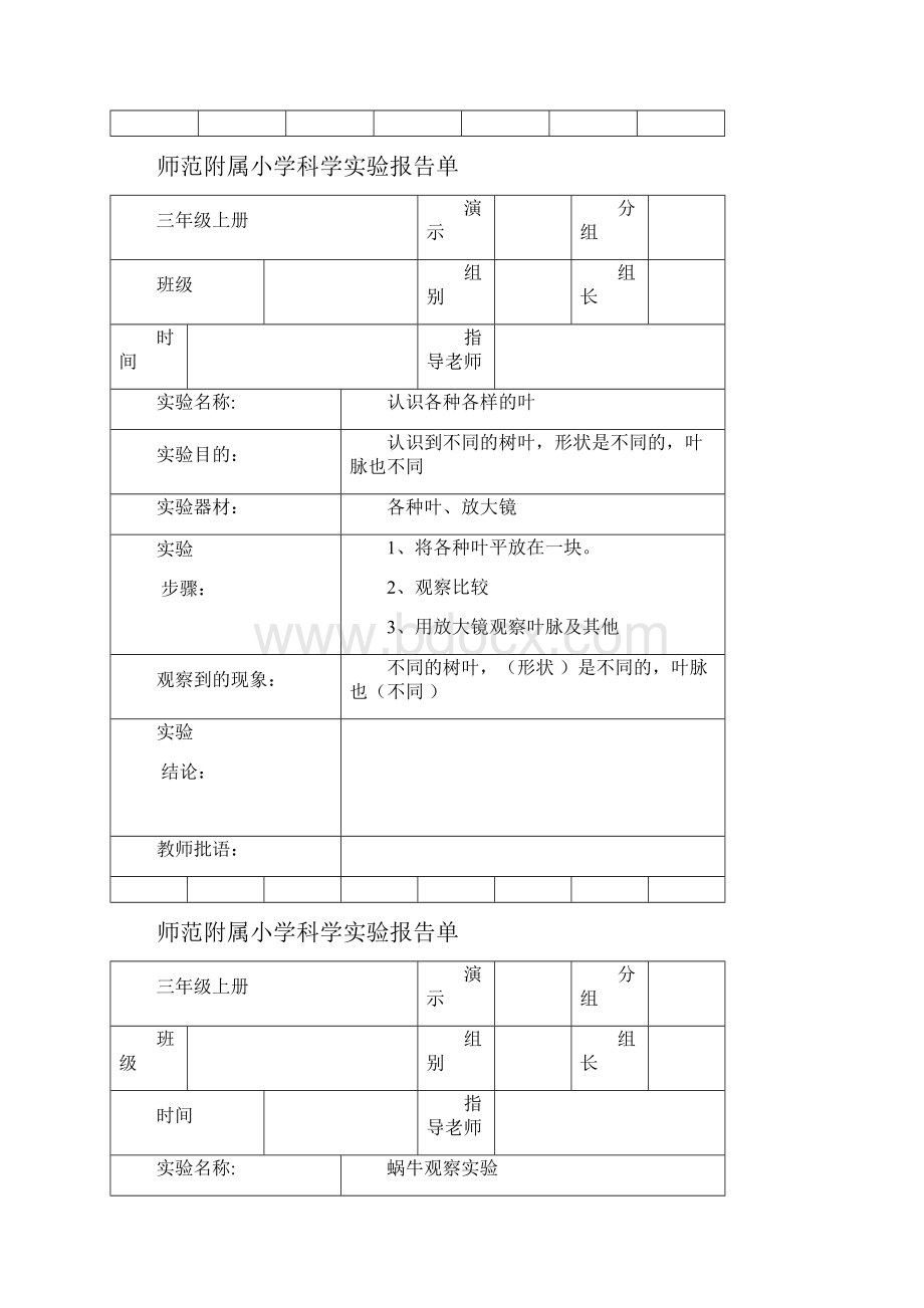 三年级上册科学实验报告单.docx_第3页