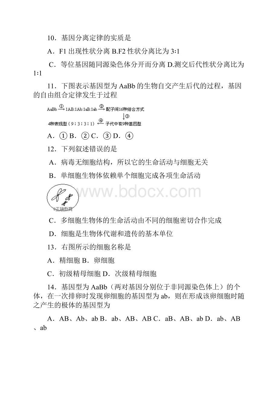 学年高一生物下学期期中试题.docx_第3页