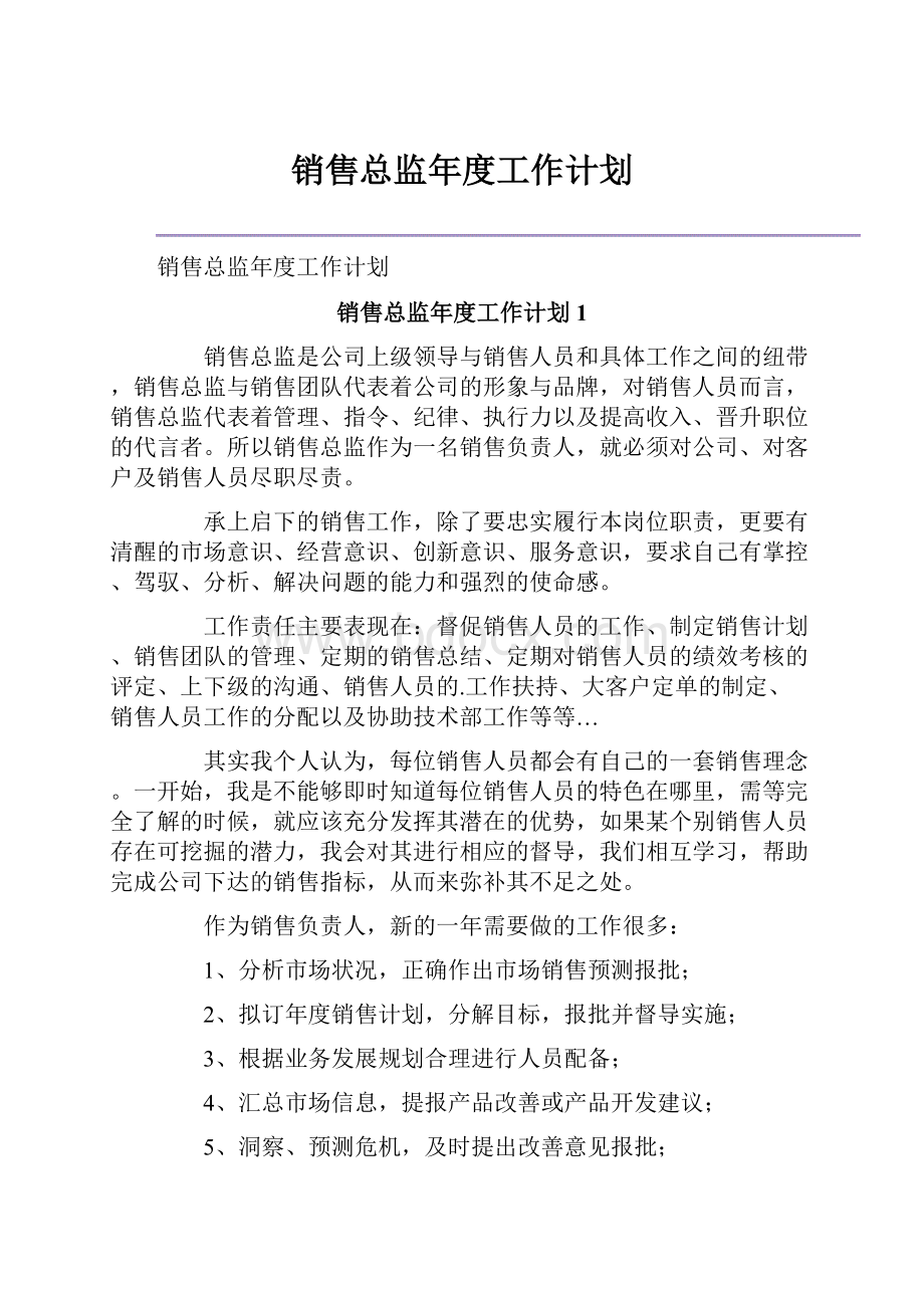 销售总监年度工作计划.docx