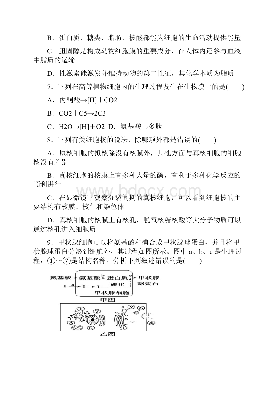 无棣一中高三第一次质量检测生物试题.docx_第3页