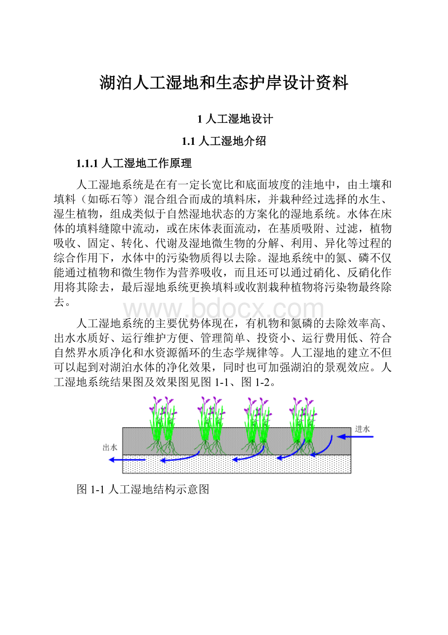 湖泊人工湿地和生态护岸设计资料.docx