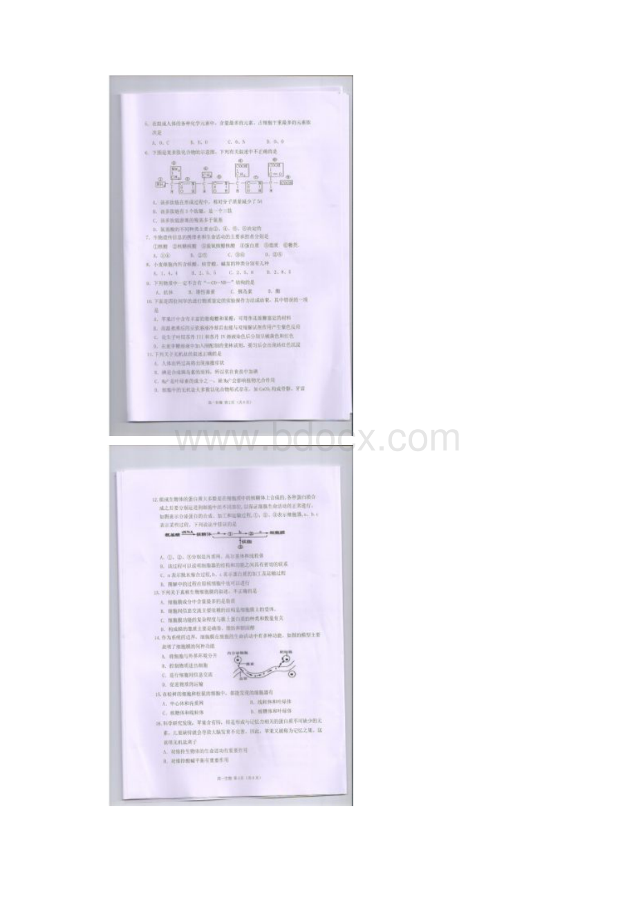 广东省潮州市高一上学期期末考试生物试题.docx_第2页