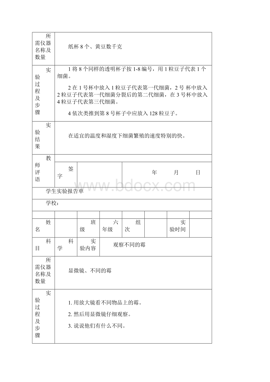 苏教版小学六年级上册科学实验报告单.docx_第2页