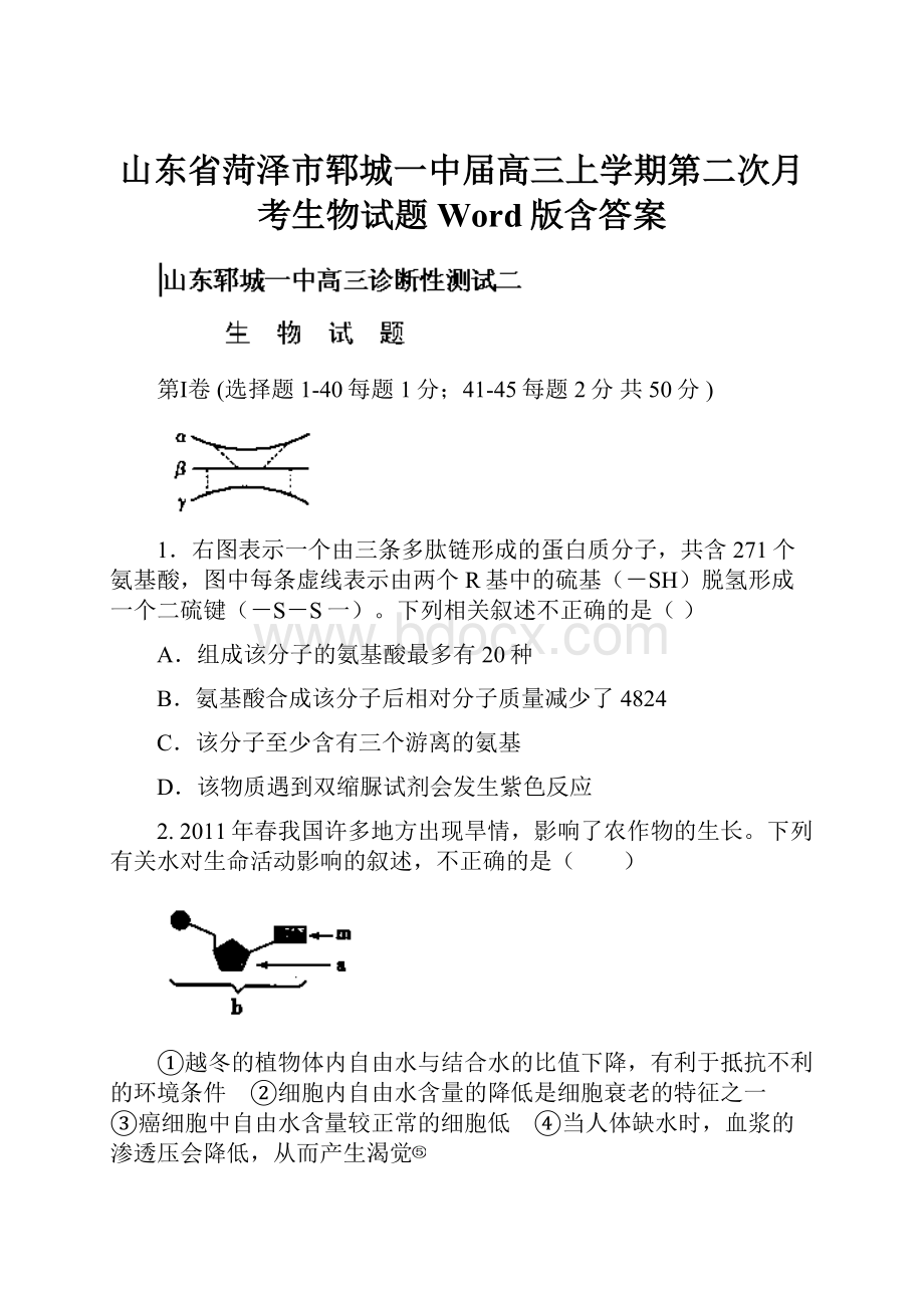 山东省菏泽市郓城一中届高三上学期第二次月考生物试题 Word版含答案.docx