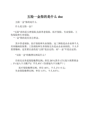 五险一金指的是什么doc.docx