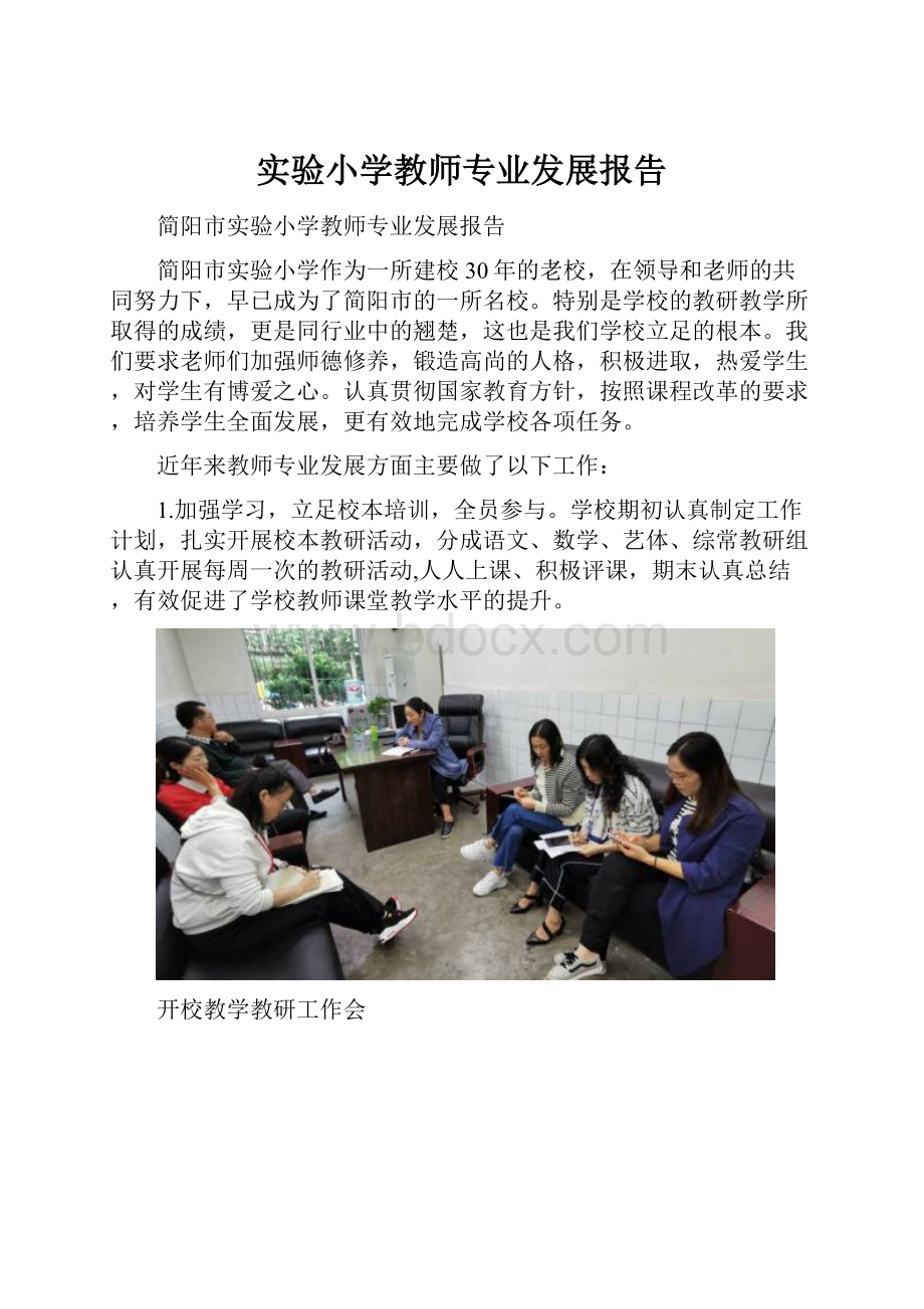 实验小学教师专业发展报告.docx_第1页