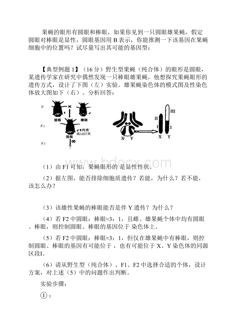 人教版高三生物二轮研讨学案专题八《遗传的基本规律》.docx_第3页