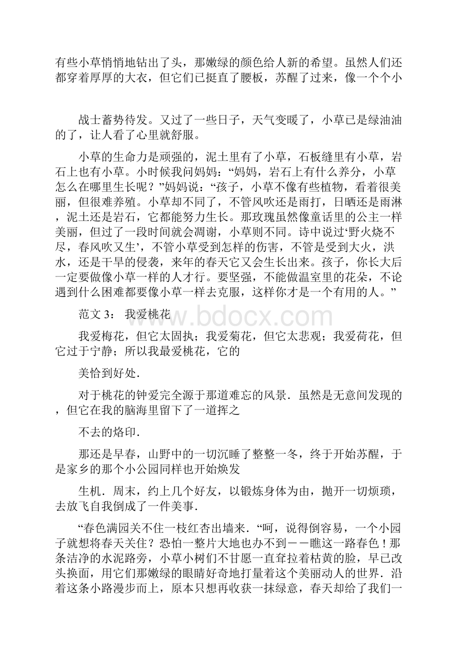 习作专项训练部编版三年级下册.docx_第3页