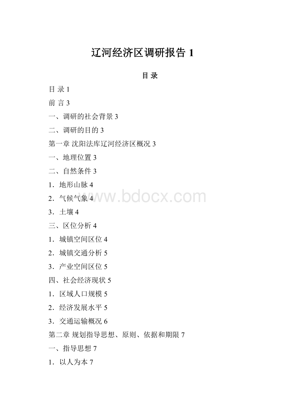 辽河经济区调研报告1.docx_第1页