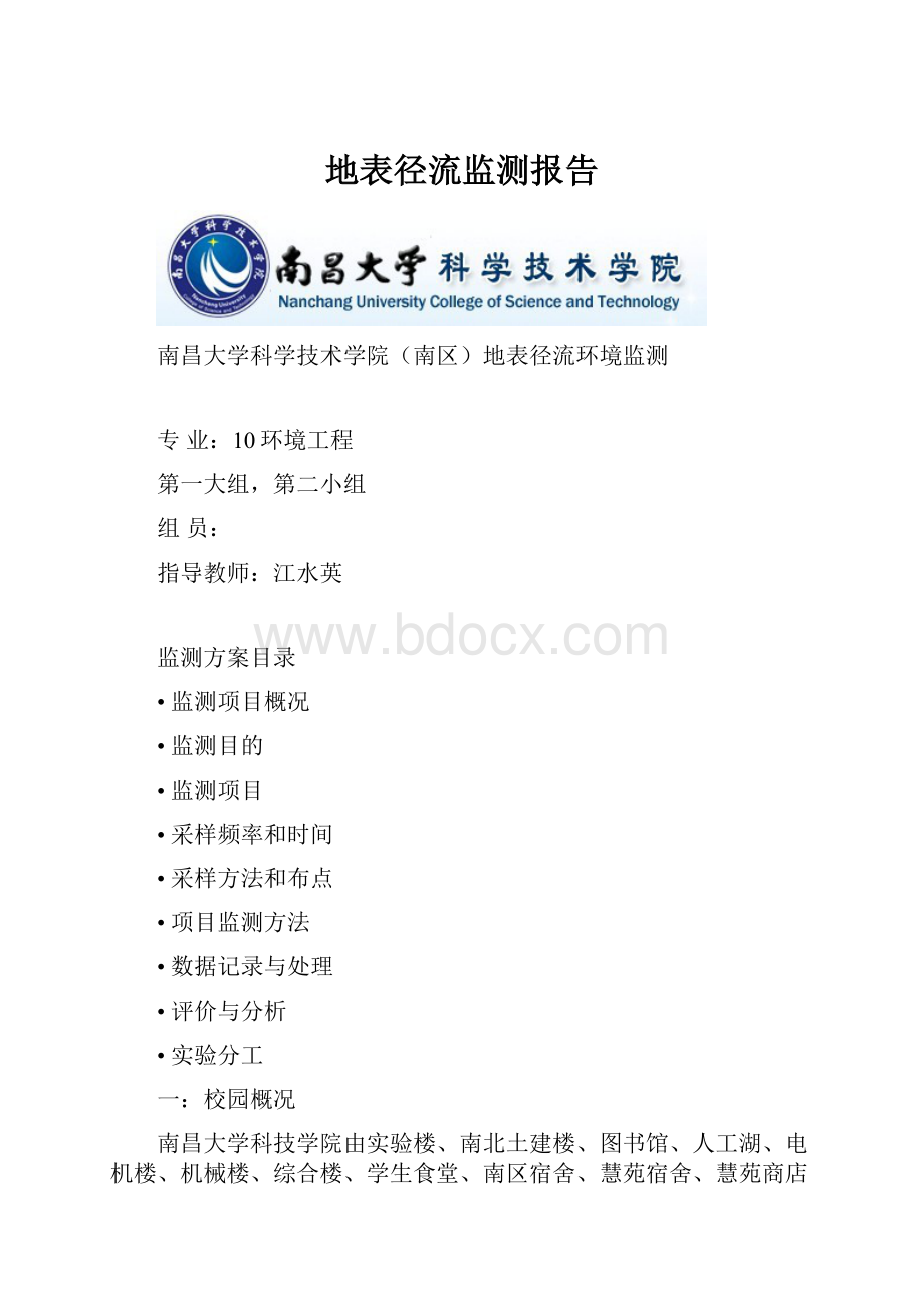 地表径流监测报告.docx_第1页