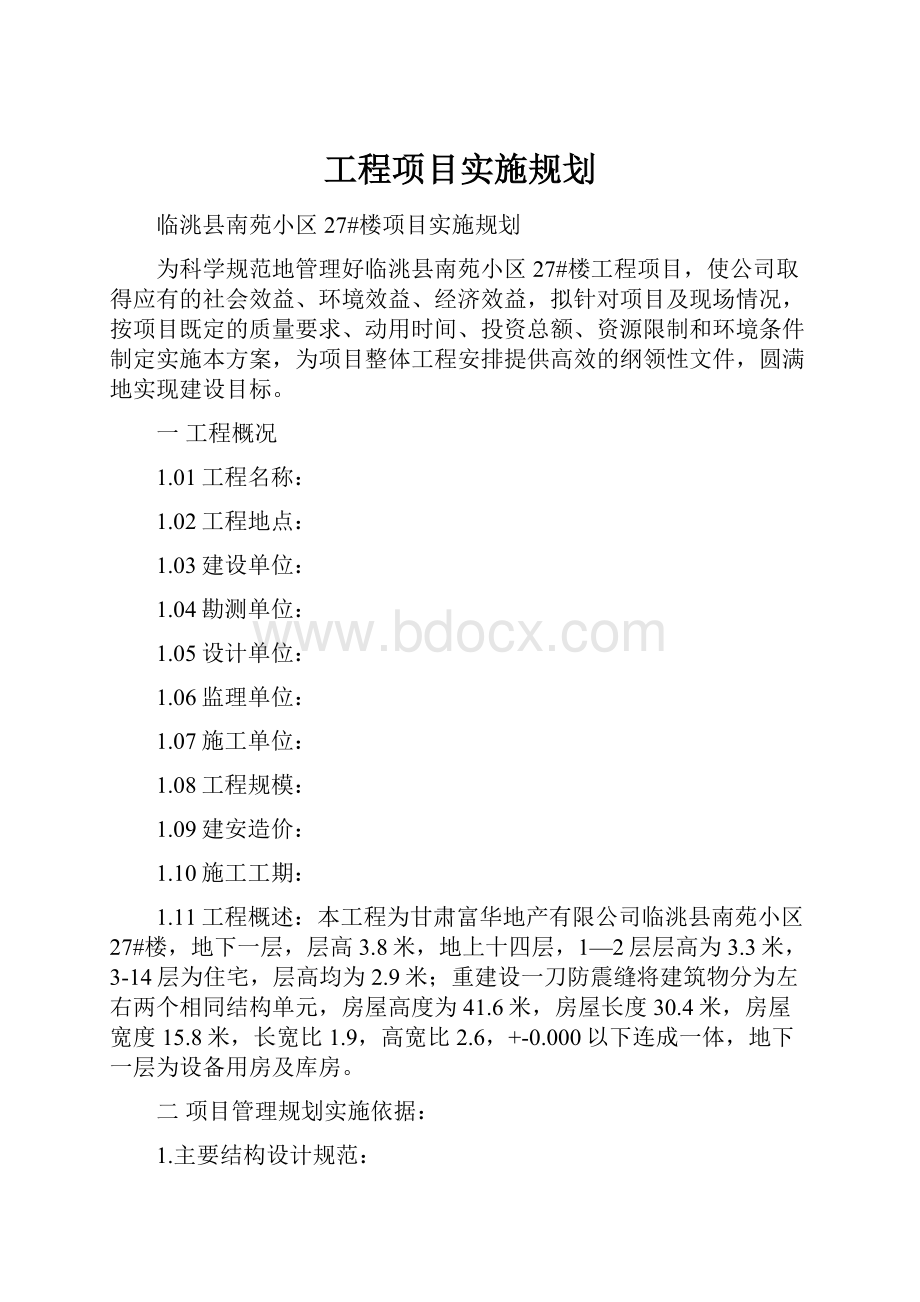 工程项目实施规划.docx