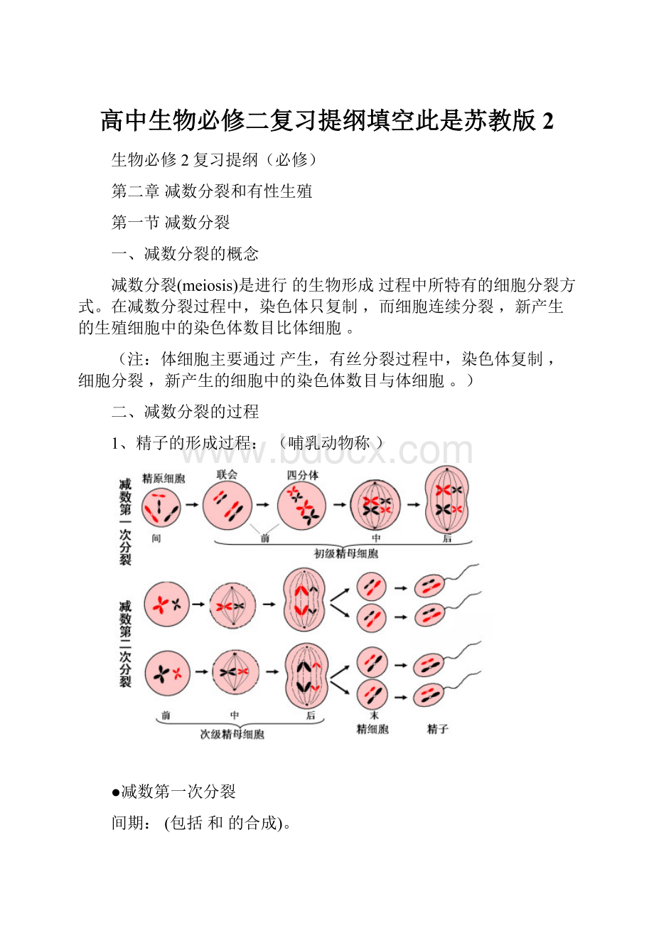 高中生物必修二复习提纲填空此是苏教版 2.docx