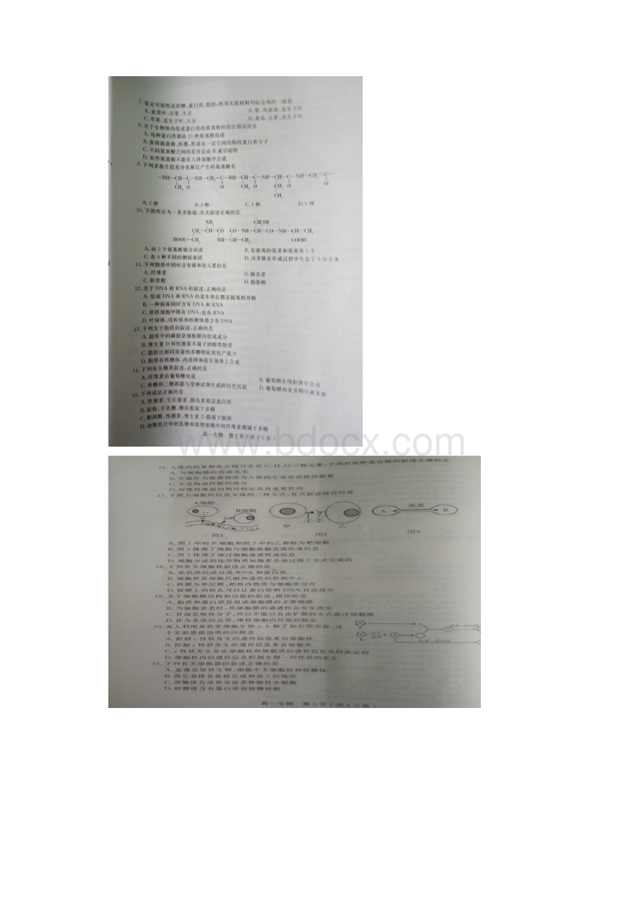 河北省石家庄市学年高一生物上学期期末考试试题扫描版.docx_第2页