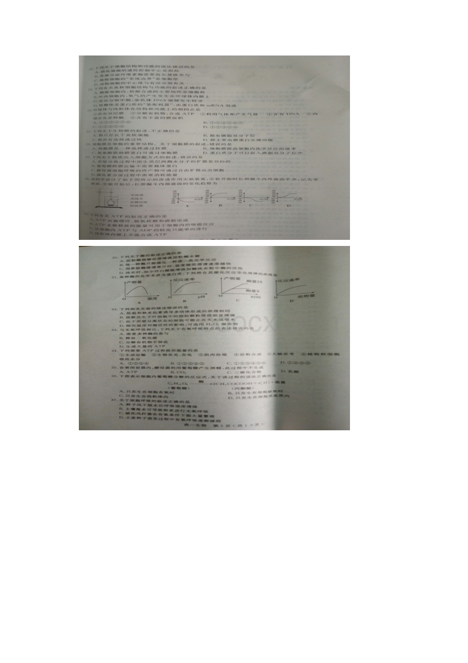 河北省石家庄市学年高一生物上学期期末考试试题扫描版.docx_第3页