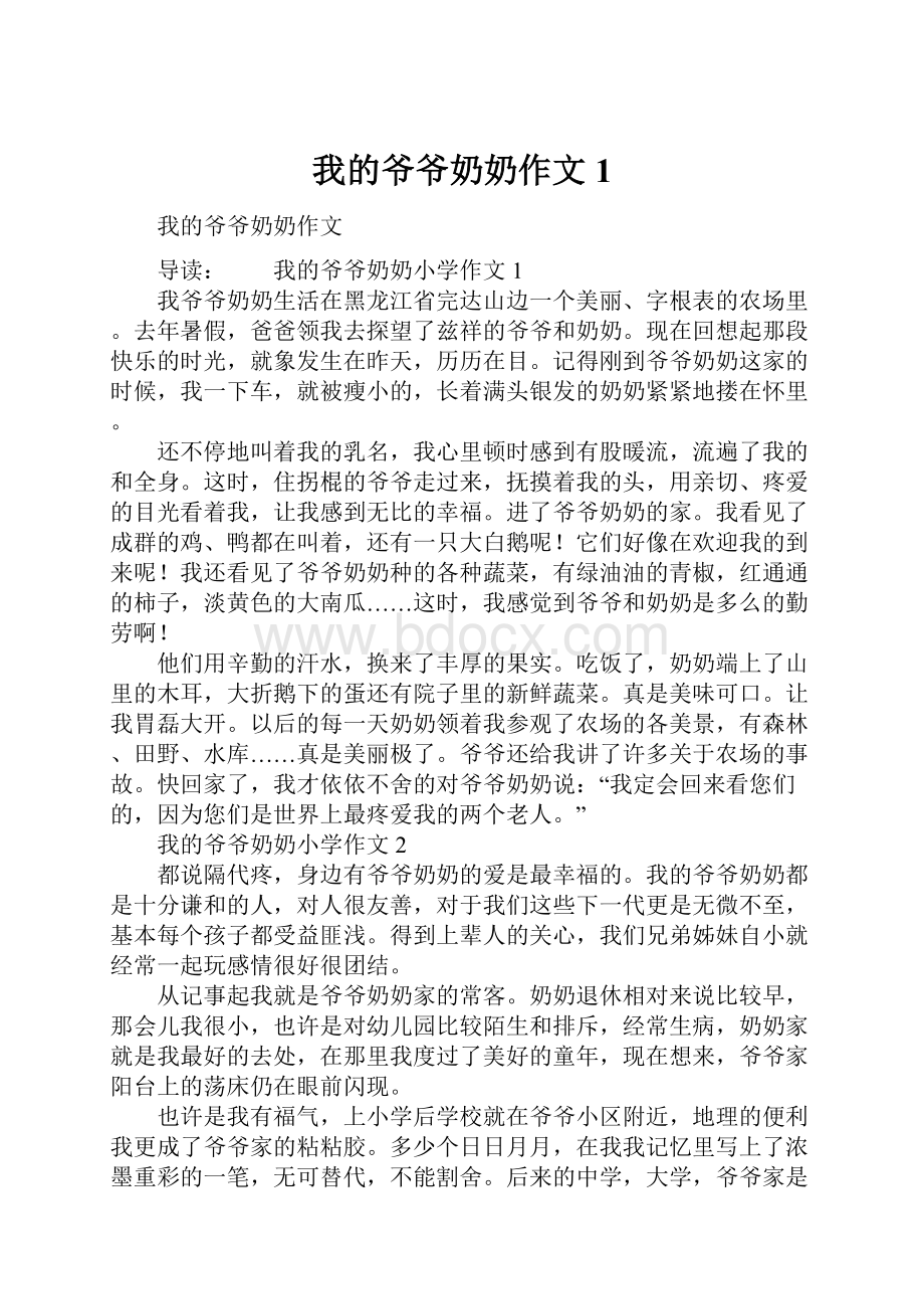 我的爷爷奶奶作文1.docx