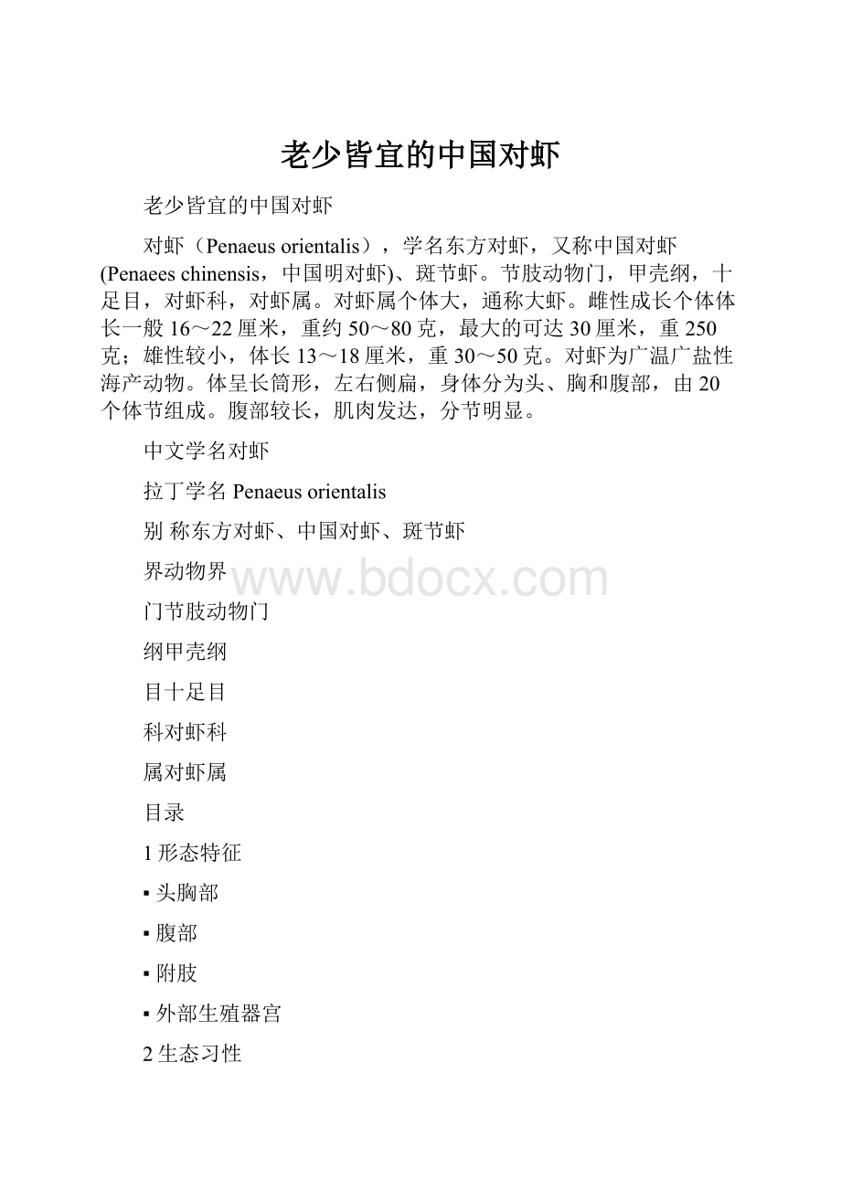 老少皆宜的中国对虾.docx_第1页