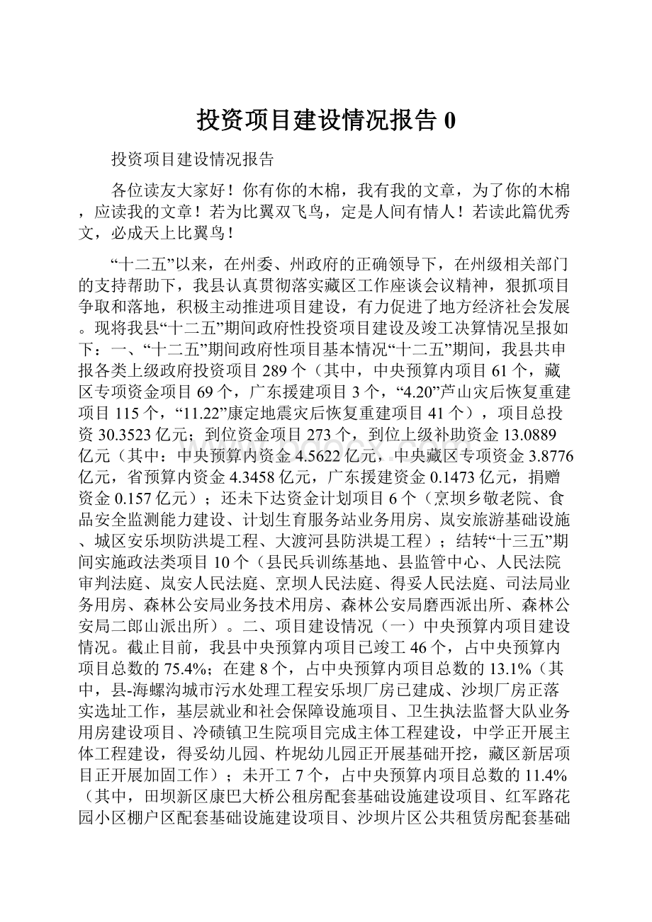 投资项目建设情况报告0.docx