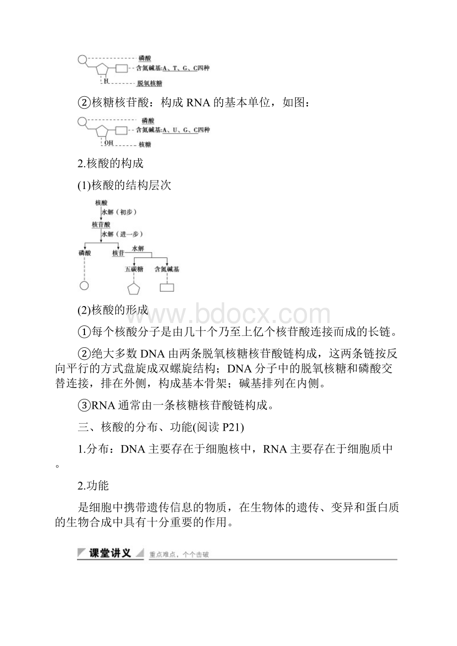 高中生物 第二章 细胞的化学组成 第二节 细胞中的生物.docx_第2页