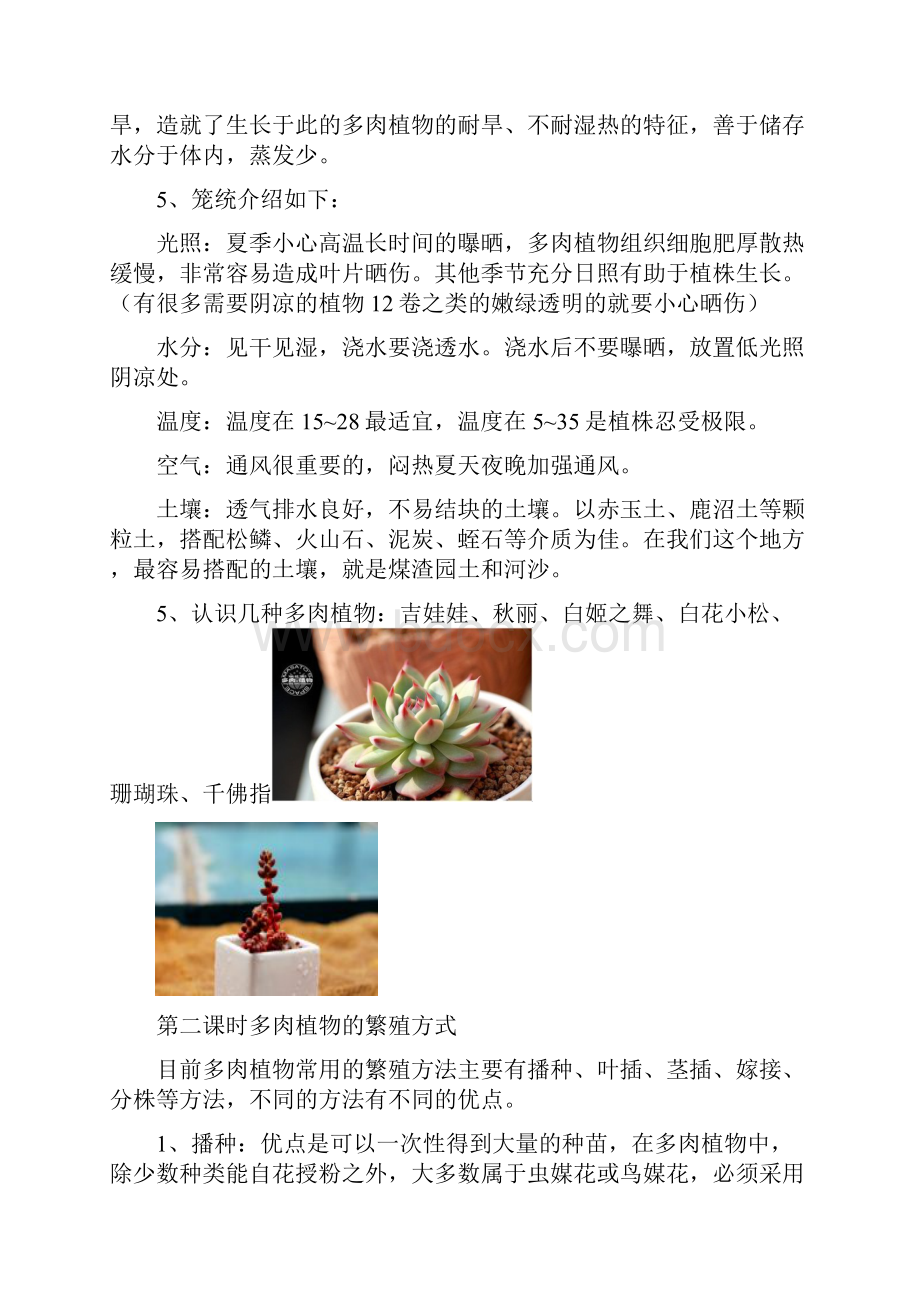 多肉植物校本课程.docx_第2页