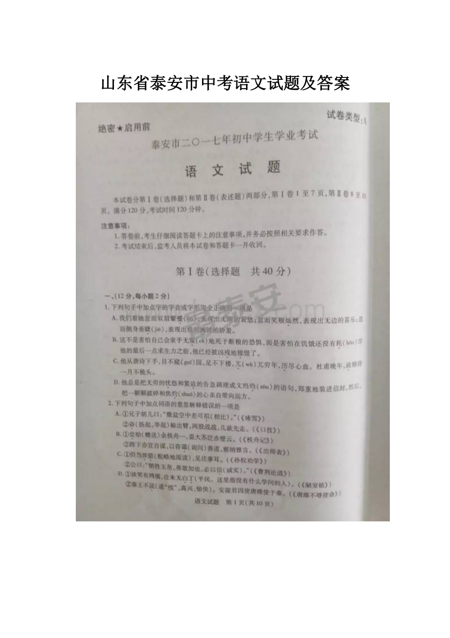 山东省泰安市中考语文试题及答案.docx_第1页