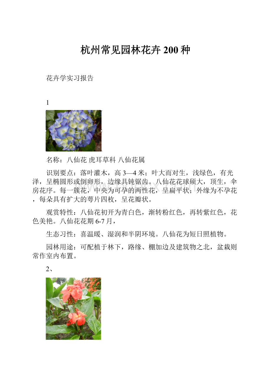 杭州常见园林花卉200种.docx_第1页