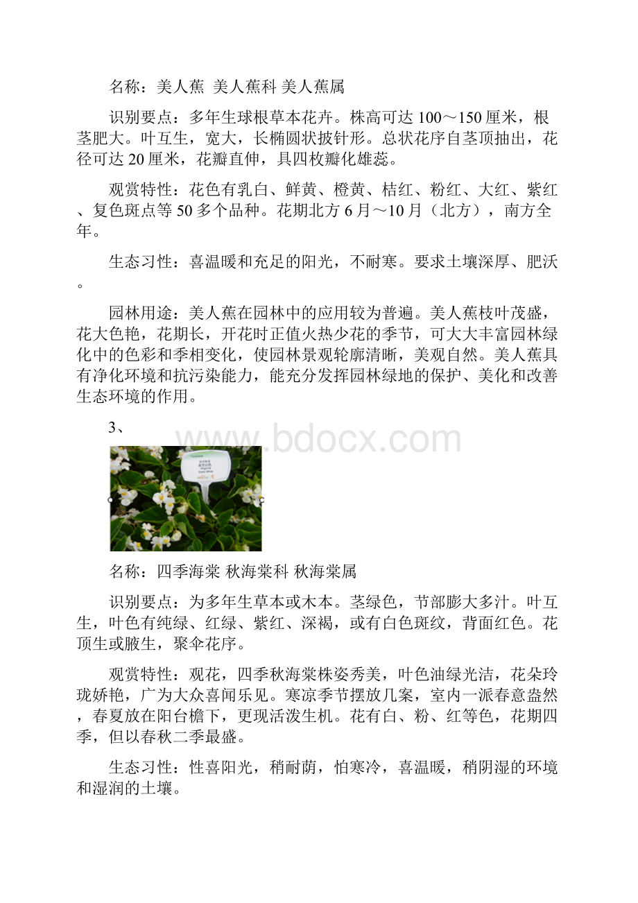 杭州常见园林花卉200种.docx_第2页