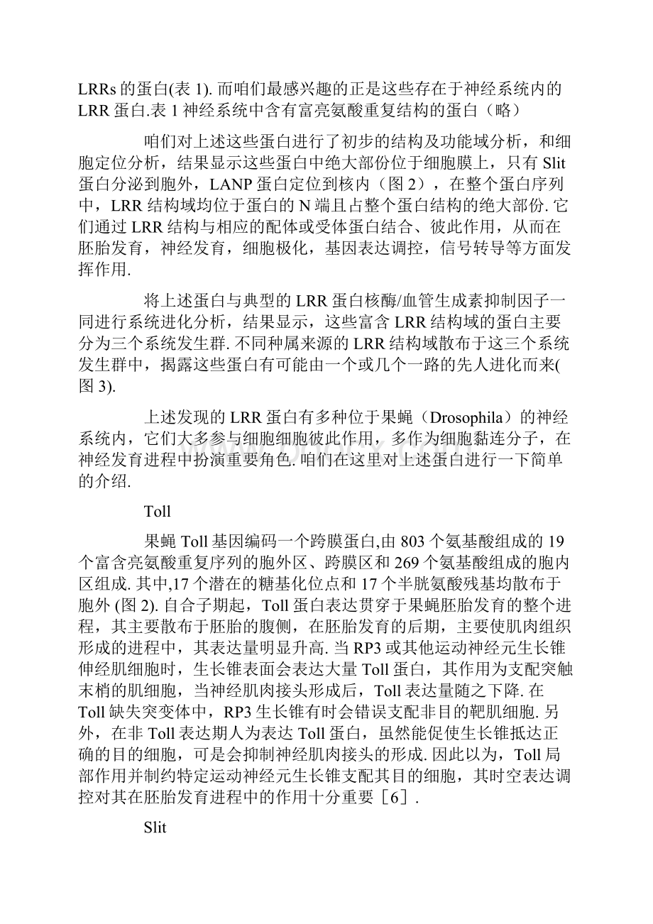 神经系统中富含亮氨酸重复结构的蛋白.docx_第3页