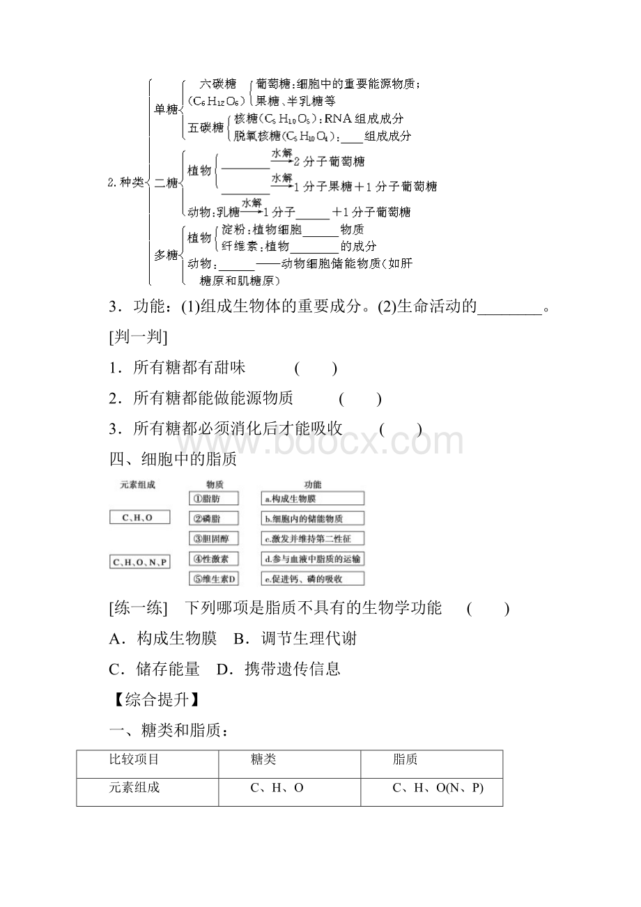 高考生物总复习 22 糖类脂质核酸学案.docx_第3页