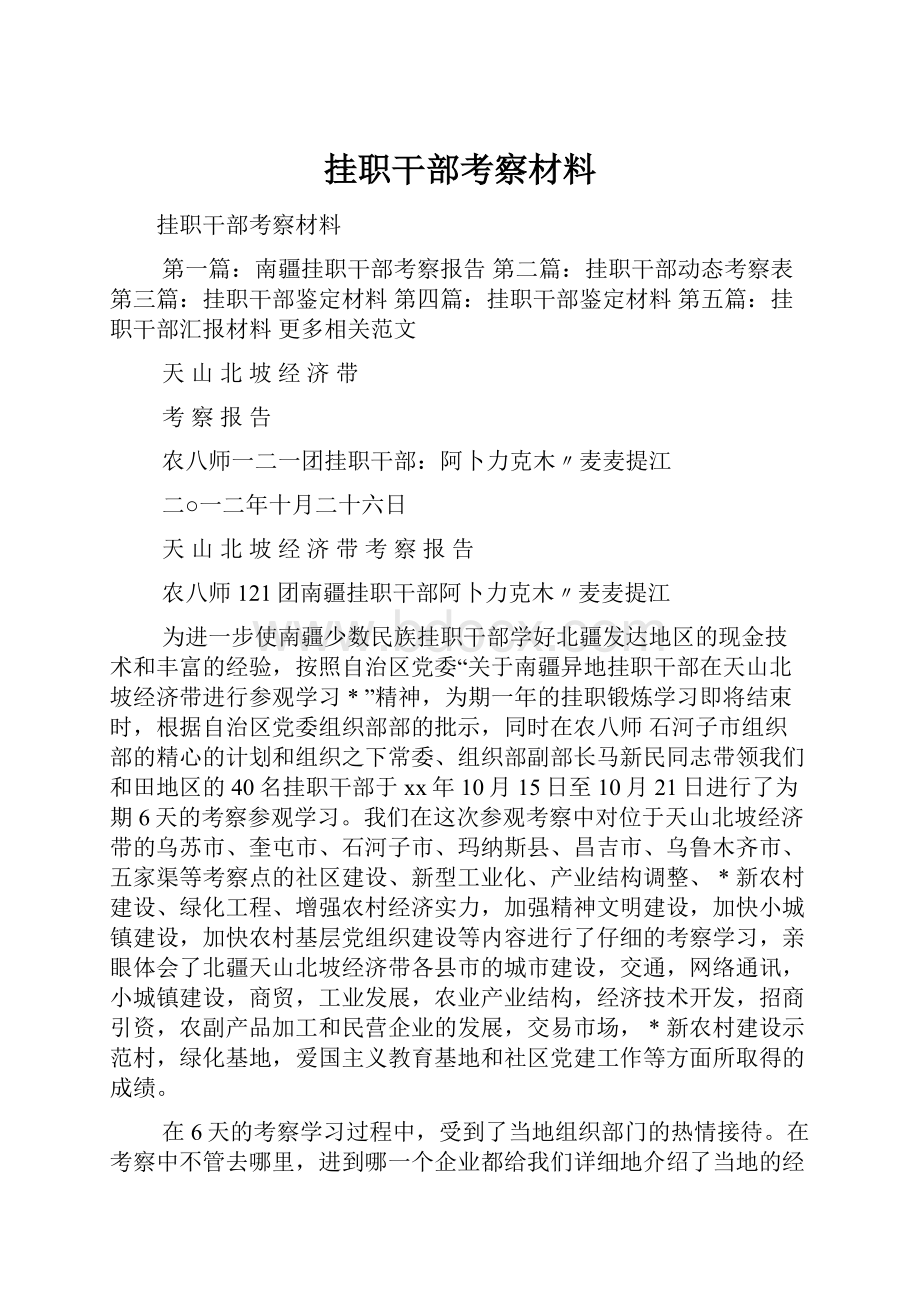 挂职干部考察材料.docx