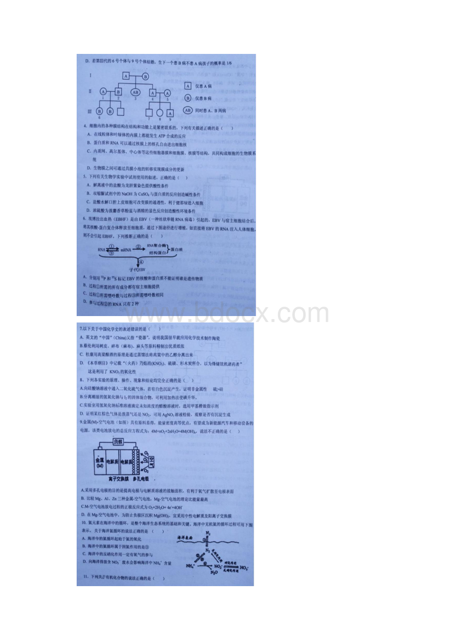 河北省保定市徐水区届全真模拟考试理科综合试.docx_第2页