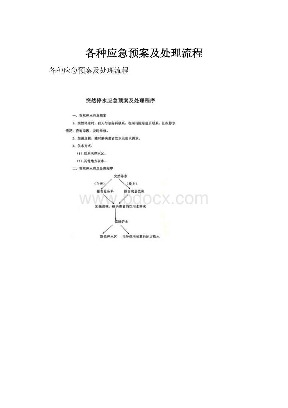 各种应急预案及处理流程.docx_第1页