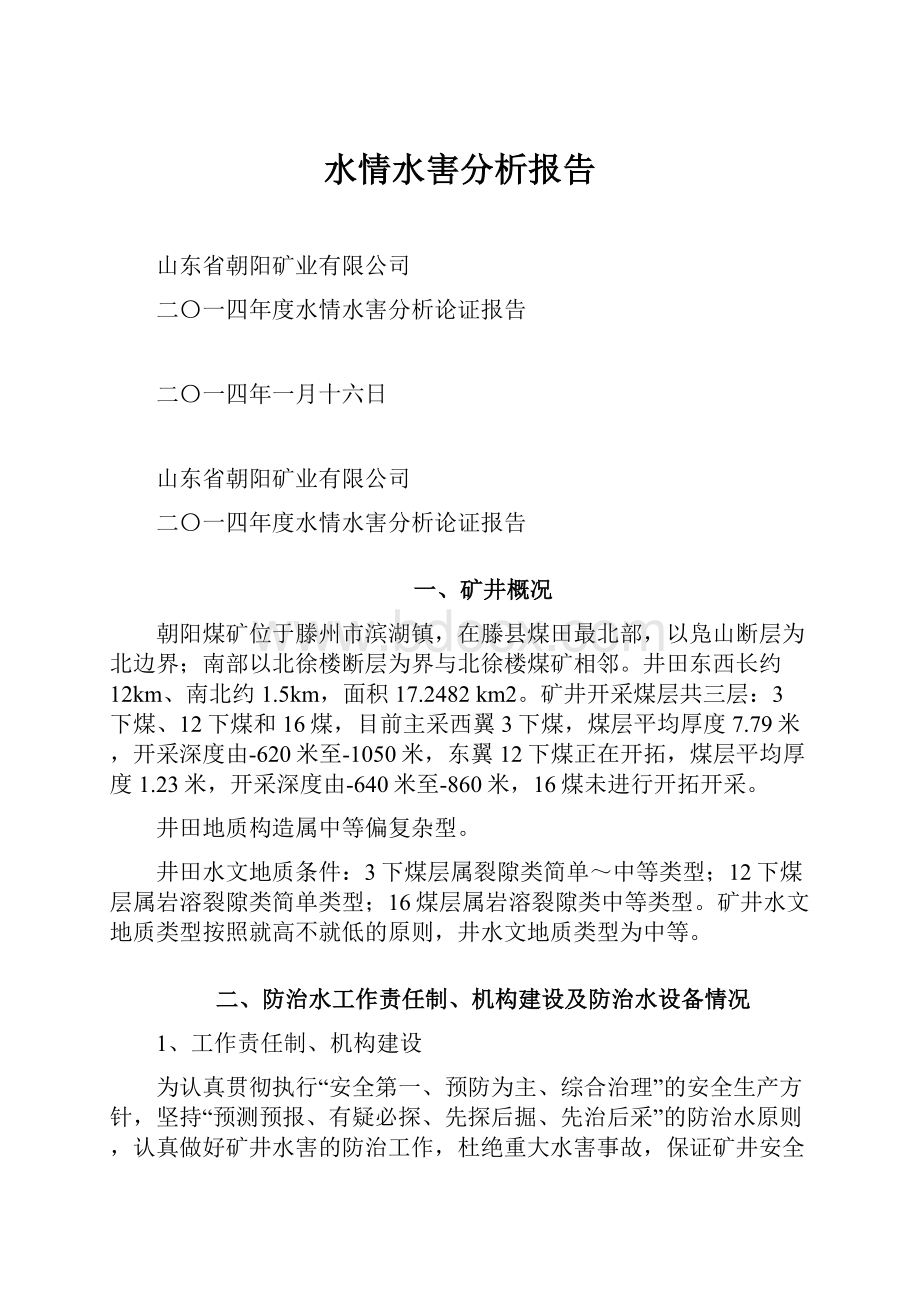 水情水害分析报告.docx