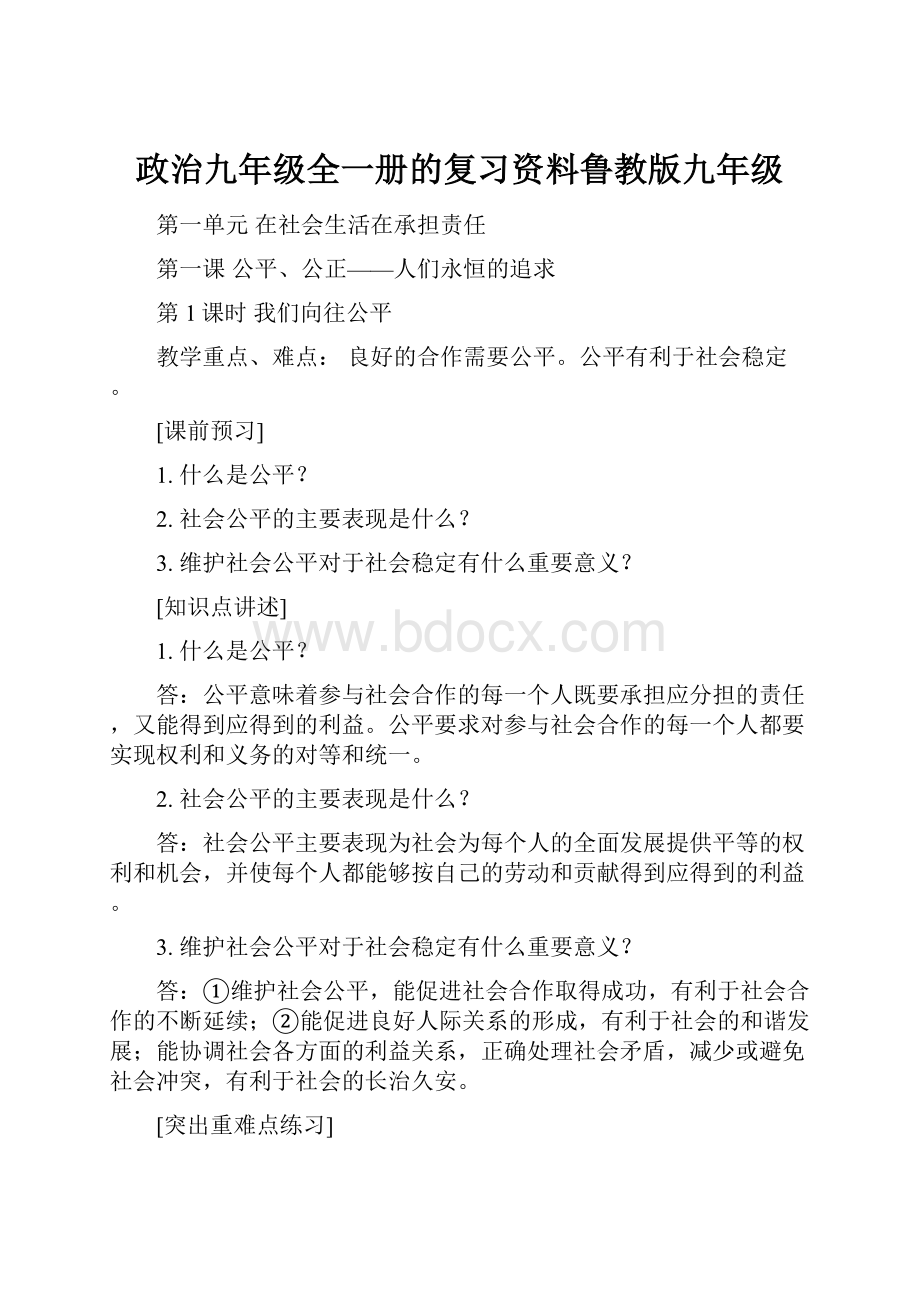 政治九年级全一册的复习资料鲁教版九年级.docx