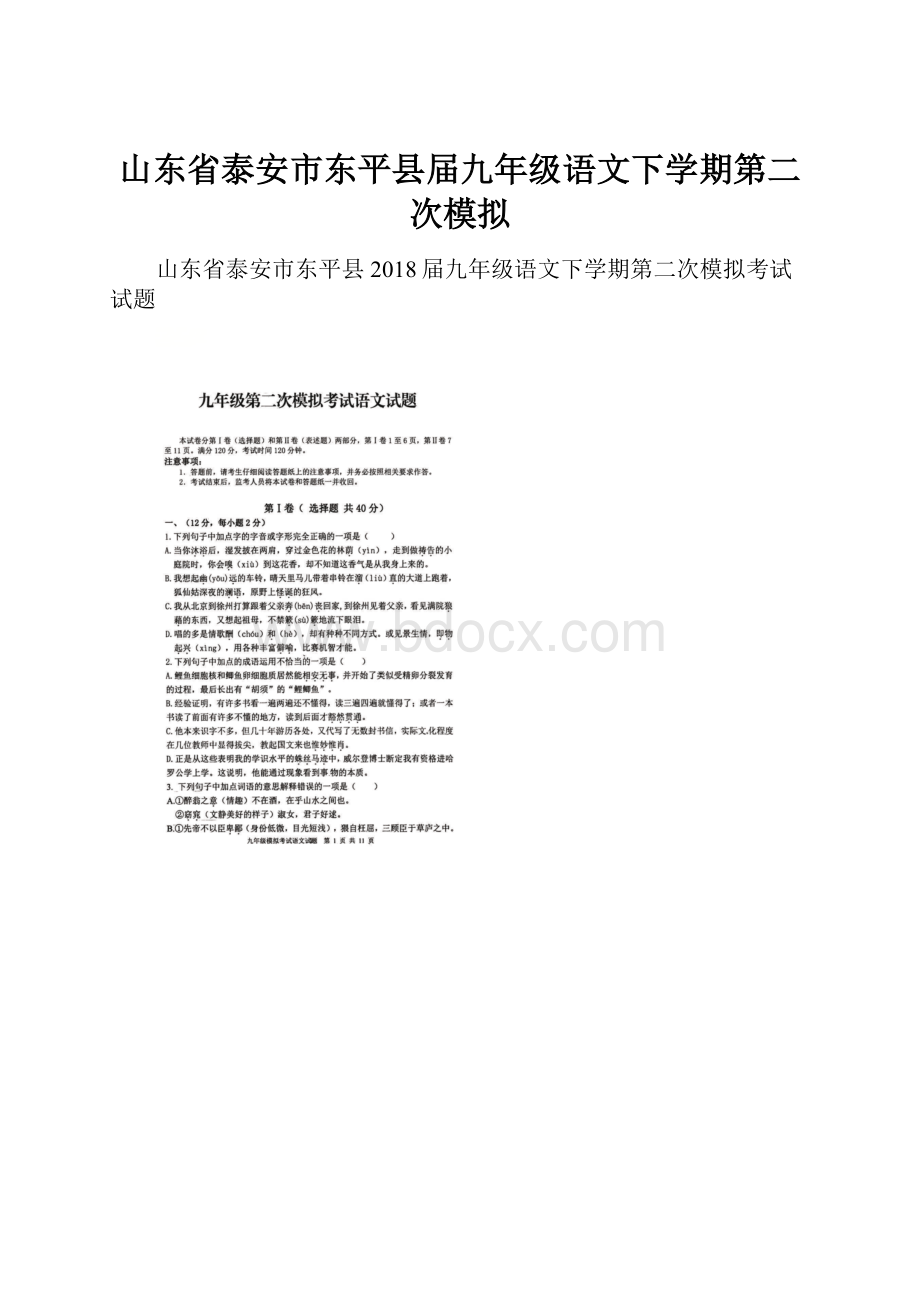 山东省泰安市东平县届九年级语文下学期第二次模拟.docx_第1页