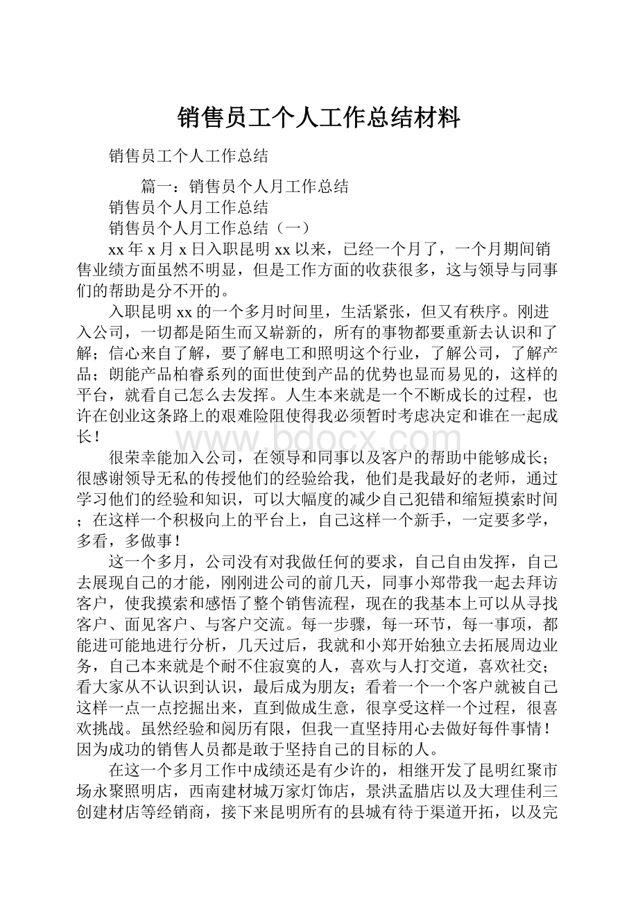 销售员工个人工作总结材料.docx_第1页