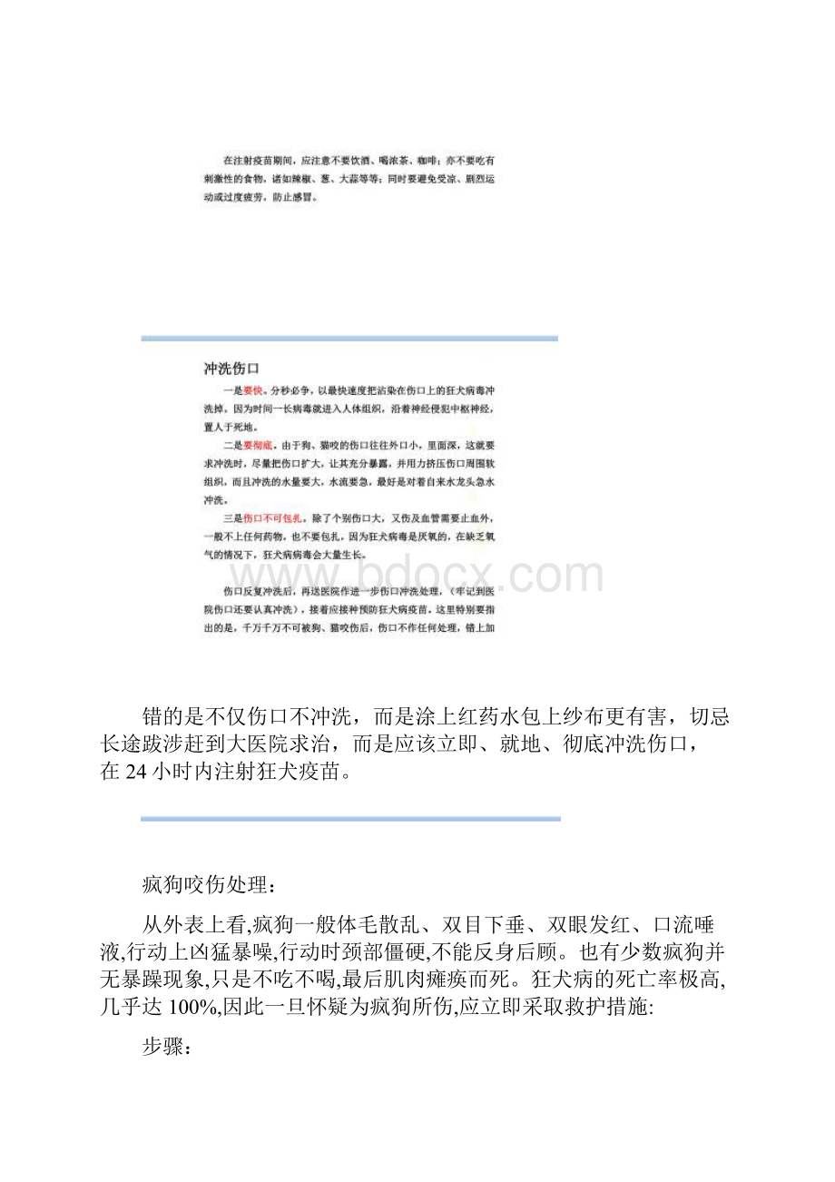 被狗咬伤处理总结.docx_第3页