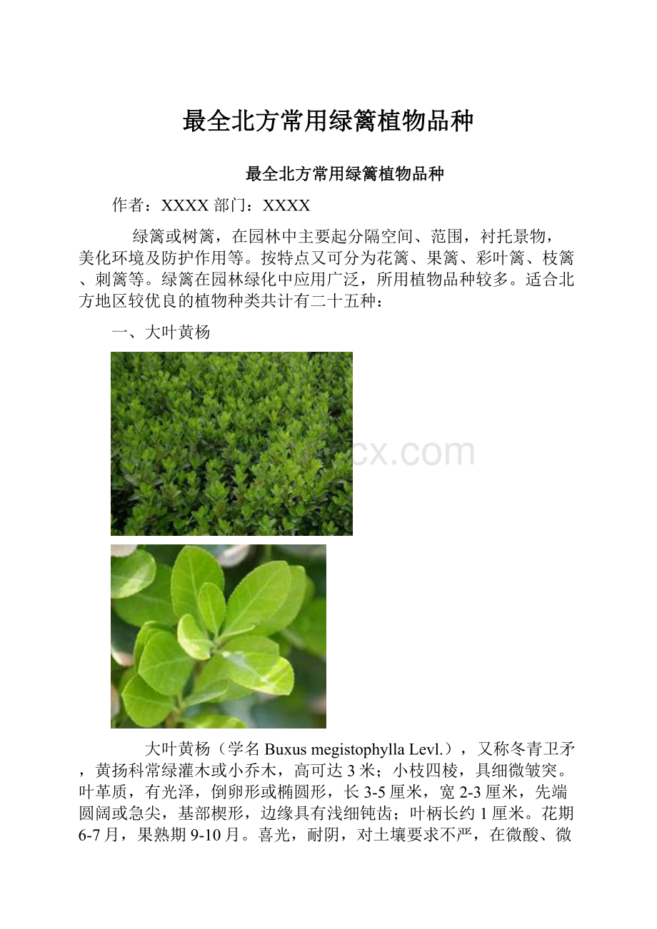 最全北方常用绿篱植物品种.docx