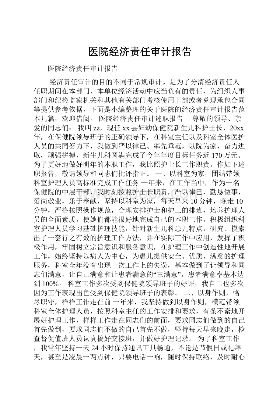 医院经济责任审计报告.docx