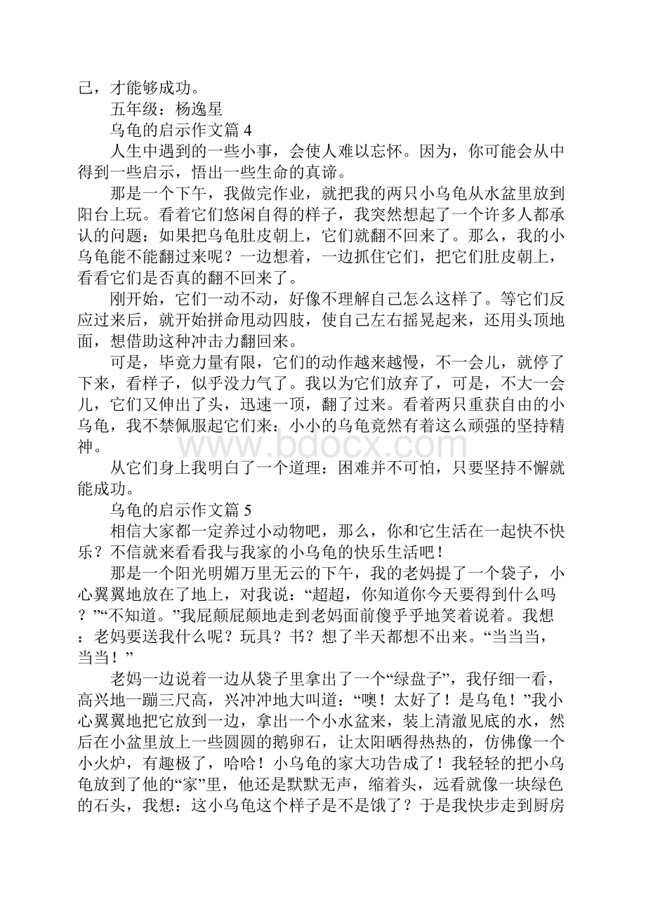 乌龟的启示作文10篇.docx_第3页