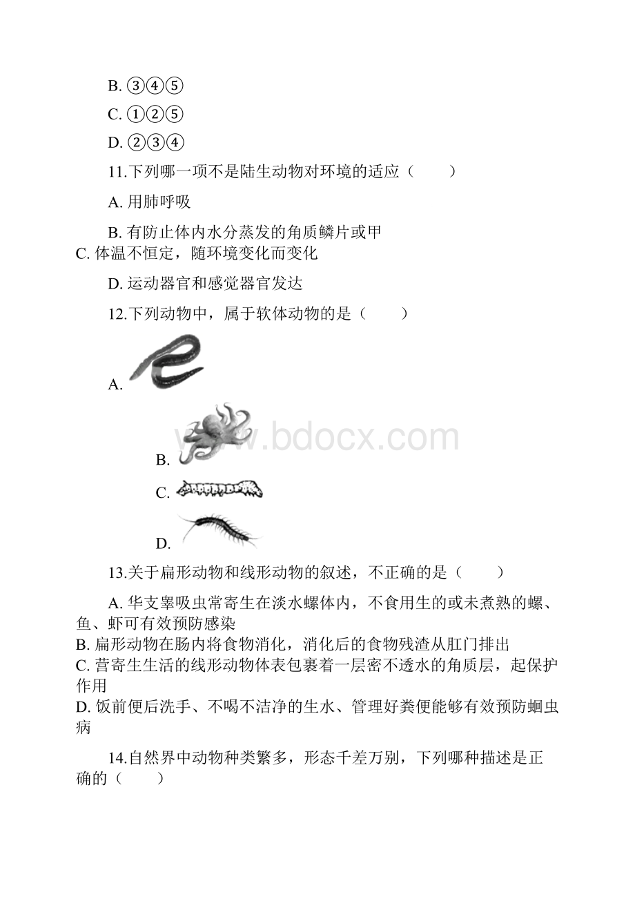 名师整理生物八年级上册 第五单元第一章《动物的主要类群》单元检测试题含答案解析.docx_第3页