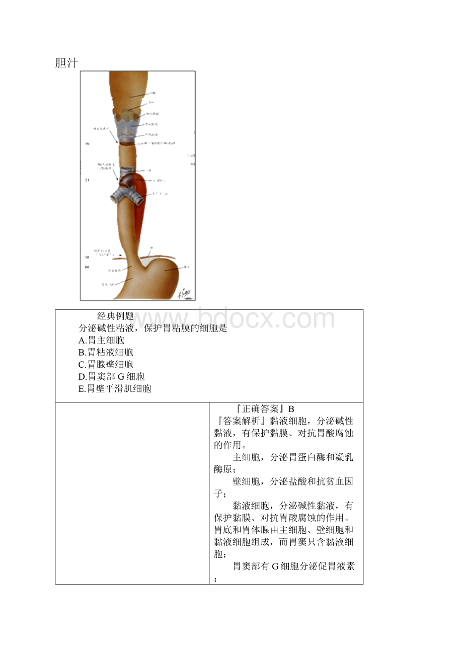 护理综合基础护理学考试讲义护士资格证第三章.docx_第3页