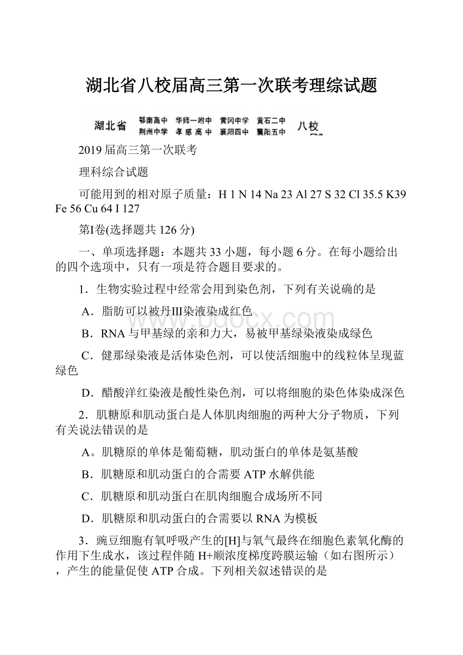 湖北省八校届高三第一次联考理综试题.docx_第1页