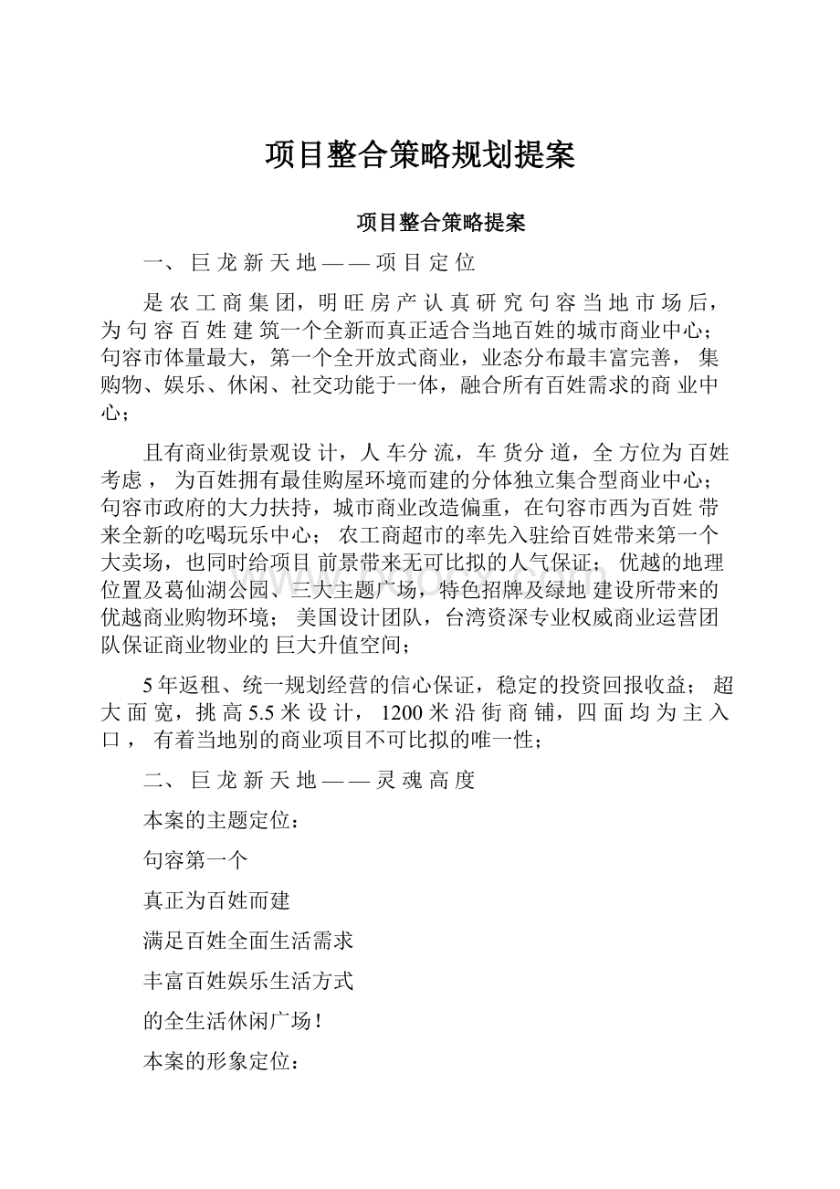 项目整合策略规划提案.docx_第1页