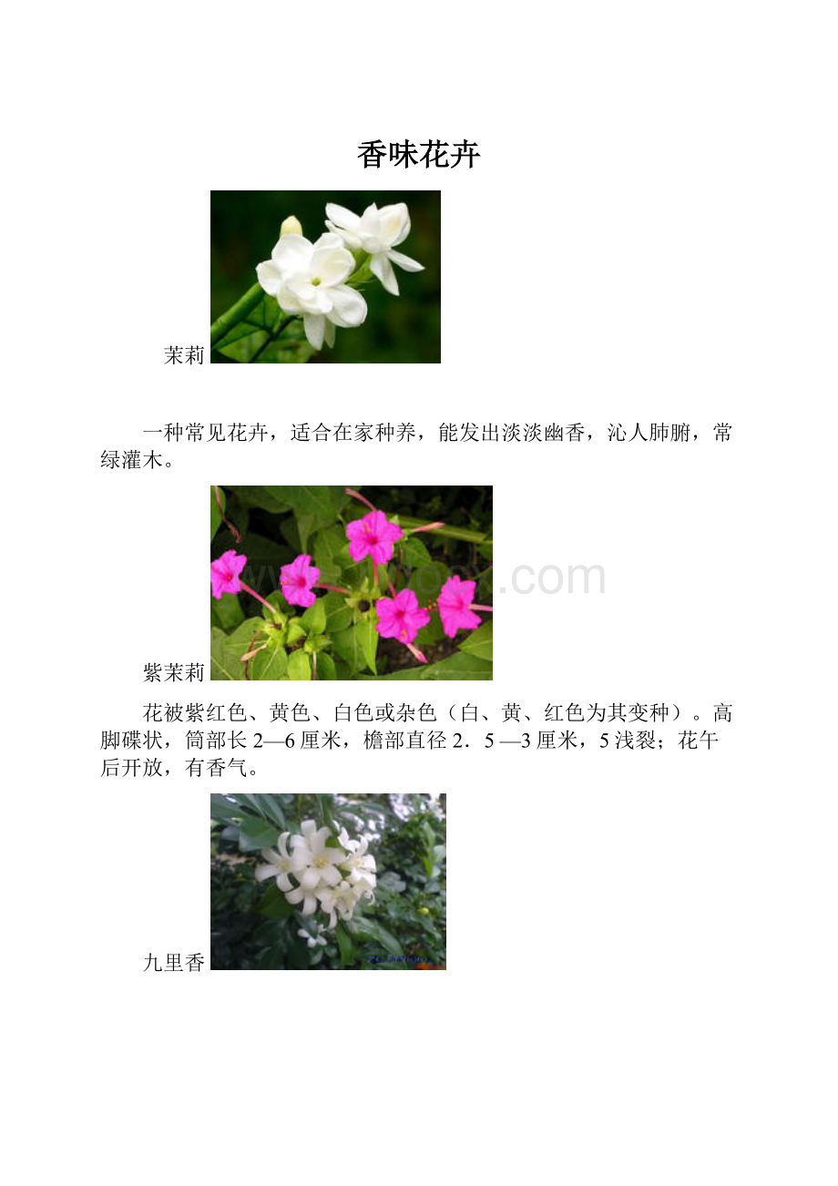 香味花卉.docx